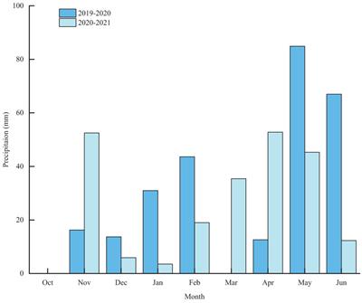 Optimizing wheat prosperity: innovative drip irrigation and nitrogen management strategies for enhanced yield and quality of winter wheat in the Huang-Huai-Hai region